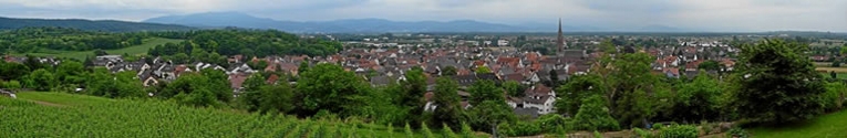 Köndringen vom Hungerberg aus gesehen. Bild: Uwe Hoyer